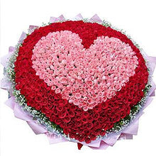  Say I Love You with 500 Roses flowers Mayaflowers 