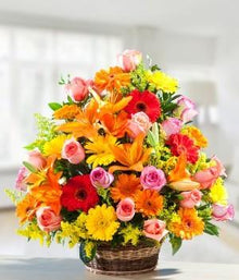  Alluring Passion flowers Mayaflowers 