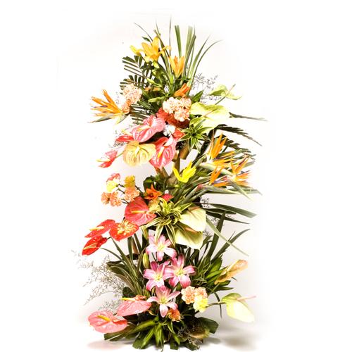 Tall Aroma Love _ Premium flowers Mayaflowers 