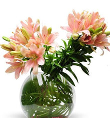  Be My Lady - Vase Included flowers Mayaflowers 