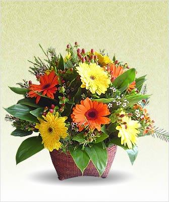 Sunshine Basket Aroma flowers Mayaflowers 