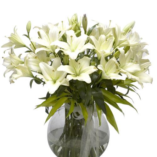 Pastel White - Vase Included flowers Mayaflowers 