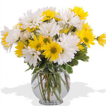  Shining Smiles - Vase Included flowers Mayaflowers 