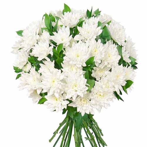 Perky White flowers Mayaflowers 