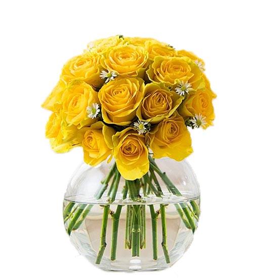 Sunshine Roses in a Clear Vase flowers Mayaflowers 