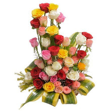  Rainbow Roses Basket flowers Mayaflowers 