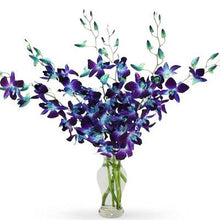  Precious Blue Orchids in a Clear Vase flowers Mayaflowers 