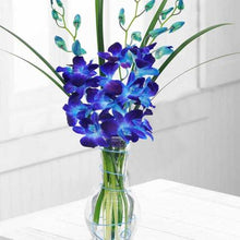  Blue Mini Orchids in a Clear Vase flowers Mayaflowers 