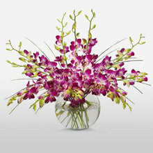  Cubic Orchids in a Clear Vase flowers Mayaflowers 