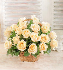  Pure White Basket flowers Mayaflowers 