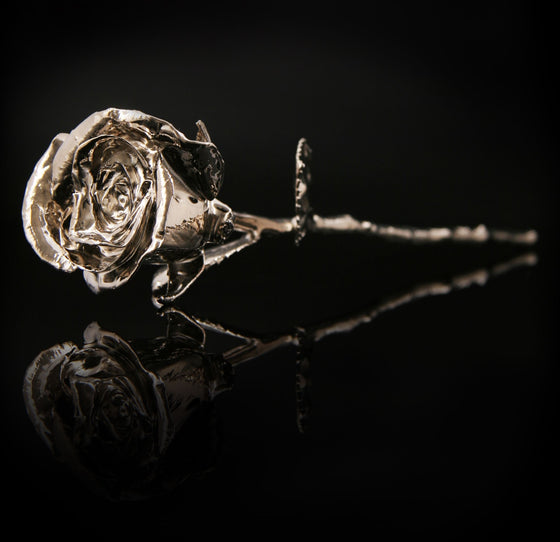 Silver Plated Rose (6 inch) flowers Mayaflowers 