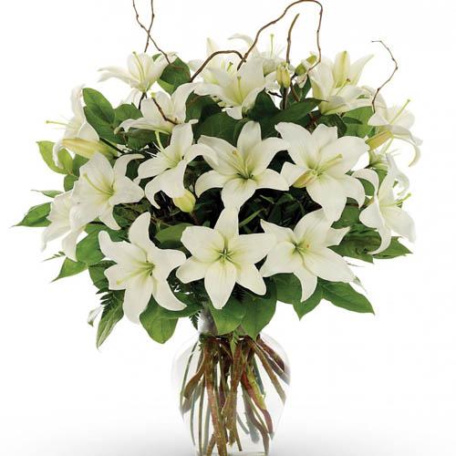 Elegance of White Lilies flowers Mayaflowers 